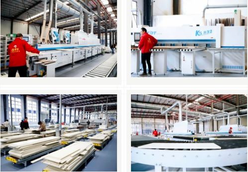 雪寶集團(tuán) 大國(guó)工匠，家居典范